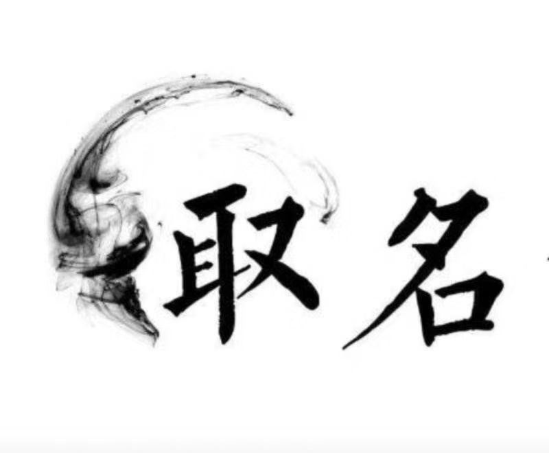  桐梓宝宝取名 大师一对一人工起名
